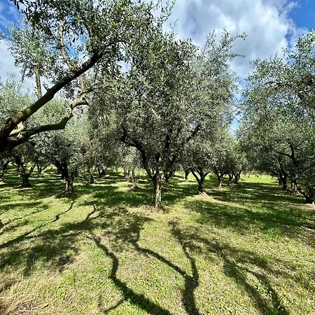 公寓 La Vacanzella